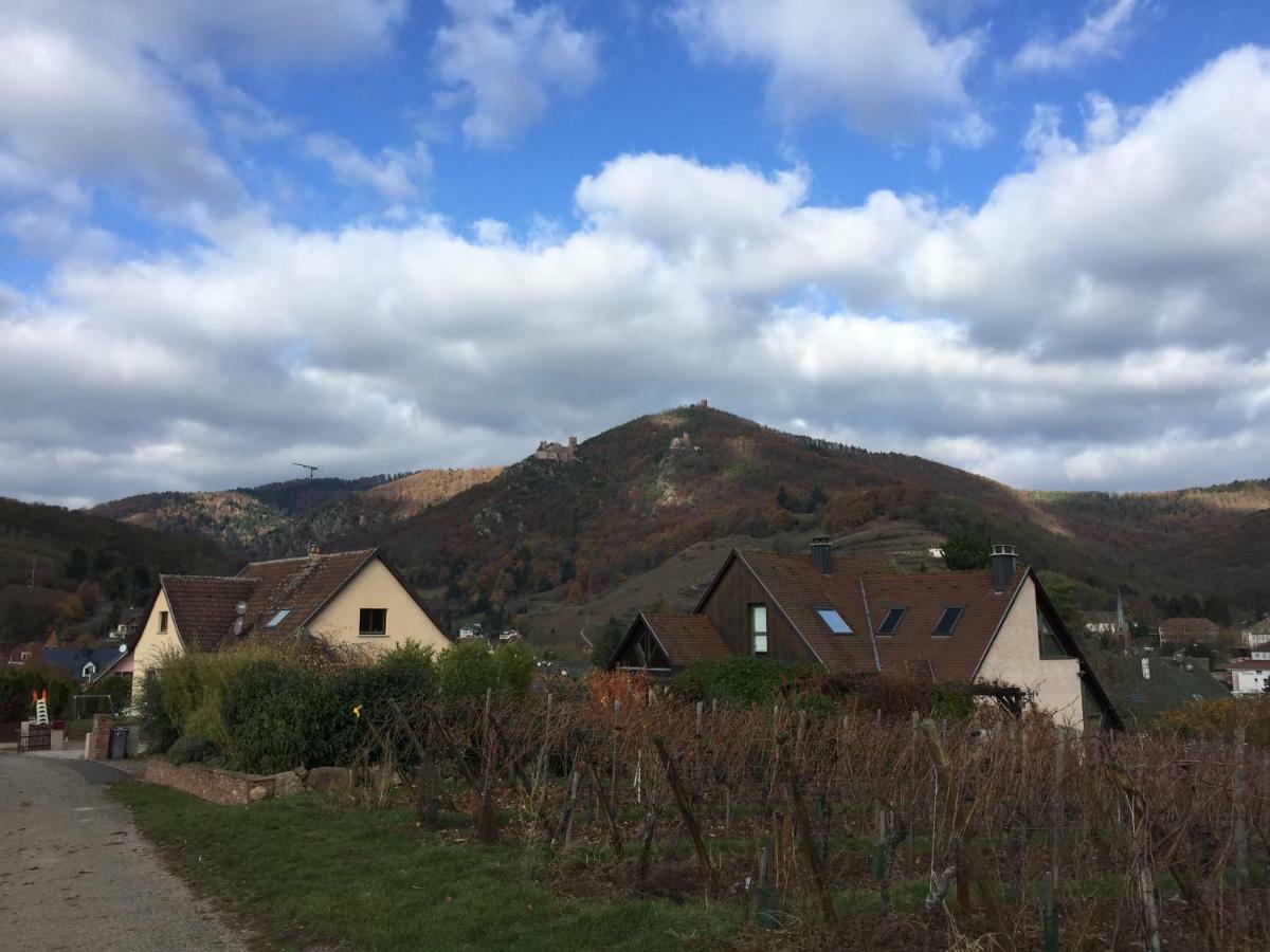 Apartmán Les Menetriers Ribeauvillé Exteriér fotografie